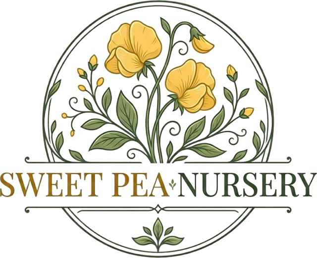 Sweet Pea Nursery